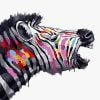 Colorful Zebra Paint By Numbers