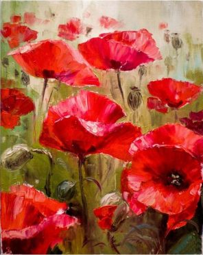 Poppies Flowers Field Paint By Numbers - Numeral Paint Kit