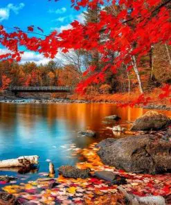 Red Forest Paint By Numbers