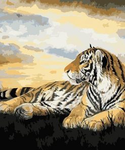 Big Cat Tiger Paint By Numbers