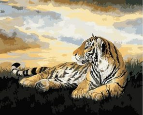 Big Cat Tiger Paint By Numbers