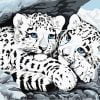 White Tiger Cubs Paint By Numbers