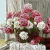 Flowers Basket Paint By Numbers