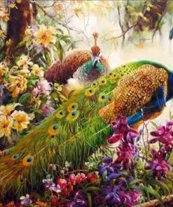 Peafowl Birds paint by numbers