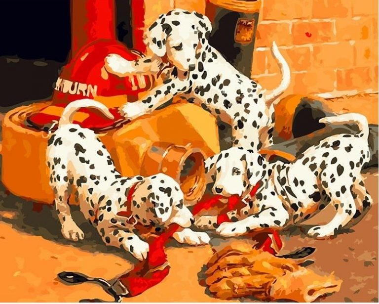 Dalmatian Dogs Paint By Numbers Numeral Paint Kit