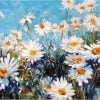 Daisies Field Paint By Numbers