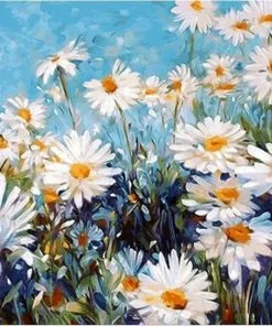Daisies Field Paint By Numbers
