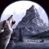 Wild Wolf Howling Paint By Numbers