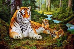 Tiger Family Paint By Numbers