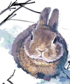 Rabbit in Snow Paint By Numbers