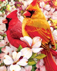 Cardinal Birds And Flowers Paint By Numbers - Numeral Paint Kit