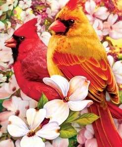 Cardinal Birds And Flowers Paint By Numbers