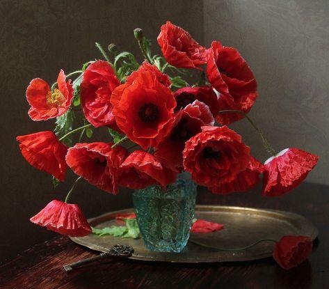 Poppies in Vase  Paint-by-Number Kit for Adults — Elle Crée (she creates)