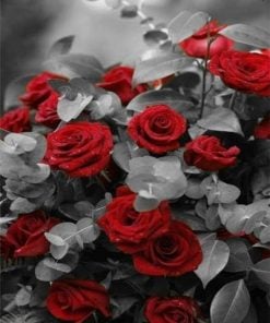 Red Roses With Grey Leaf paint by numbers
