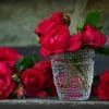 Red Roses in Glass Cup paint by numbers