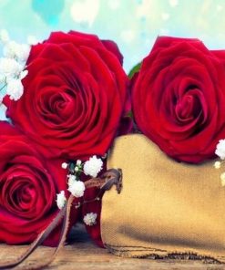 Red Roses paint by numbers