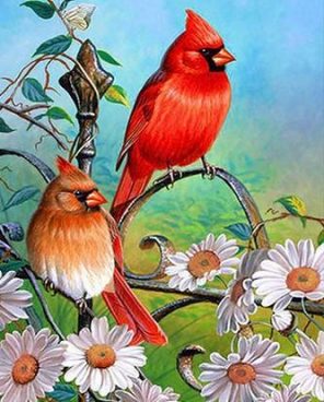 Red Sparrows paint by numbers