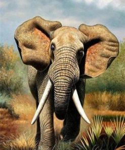 Wild Elephant Animal Paint By Numbers