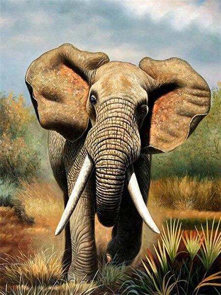 Running Elephant paint by numbers