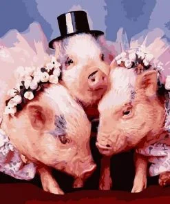 Funny Pigs Paint By Numbers