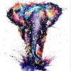Splatter Colorful Elephant Paint By Numbers