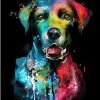 Splatter Colors Dog Paint By Numbers