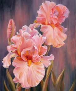 Pink Irises Paint By Numbers