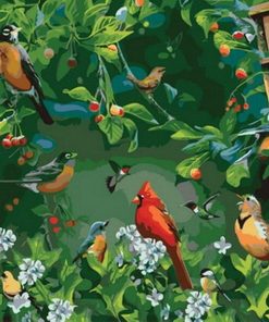 Spring Garden Birds Paint By Numbers
