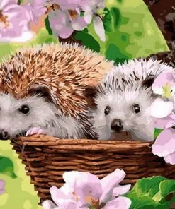 Hedgehogs In Basket Paint By Numbers