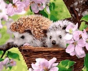 Hedgehogs In Basket Paint By Numbers