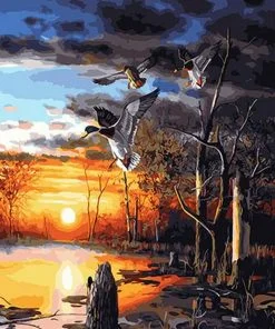 Mallards At Sunset Paint By Numbers