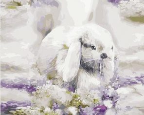 Small Rabbit paint by numbers