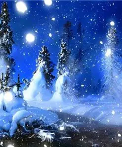 Snowy Christmas Night Landscape Paint By Numbers
