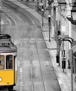 Lisbon Black And White Paint By Numbers