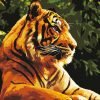Wild Tiger Paint By Numbers