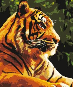 Wild Tiger Paint By Numbers