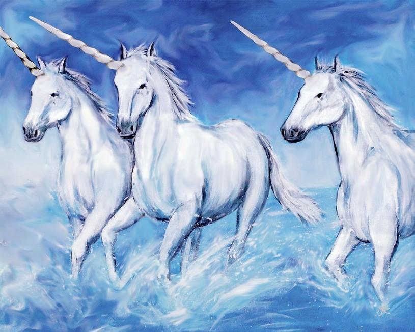 Unicorn Paint by Numbers Kit