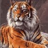 Tiger paint by numbers