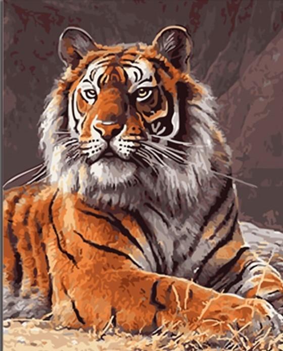 6 Pack Animal Paint by Numbers for Adults,Tiger Paint by Numbers Kit for  Adults Beginner,Acrylic Easy Owl Paint by Number,DIY Watercolor Paint by