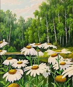 Daisies Flowers Paint By Numbers