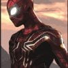 Iron Spider Man Paint By Numbers