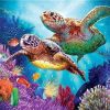 Turtle Couple Paint By Numbers