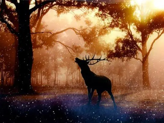 TwilightDeer