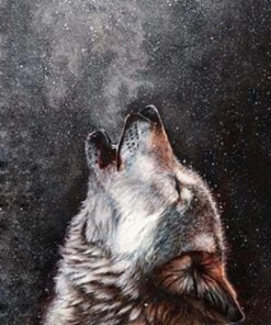Howling Wolf Paint By Numbers