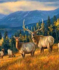 Wild Deer Herd Paint By Numbers