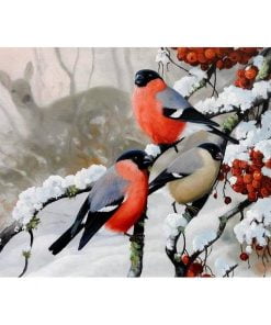 Winter Bullfinch Paint By Numbers