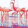 Flamingos Water Reflection Paint By Numbers