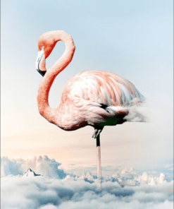 Flamingo Above Clouds Paint By Numbers