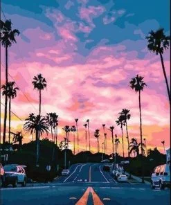 California Pink Sunset Paint By Numbers