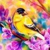 Yellow Bird Paint By Numbers